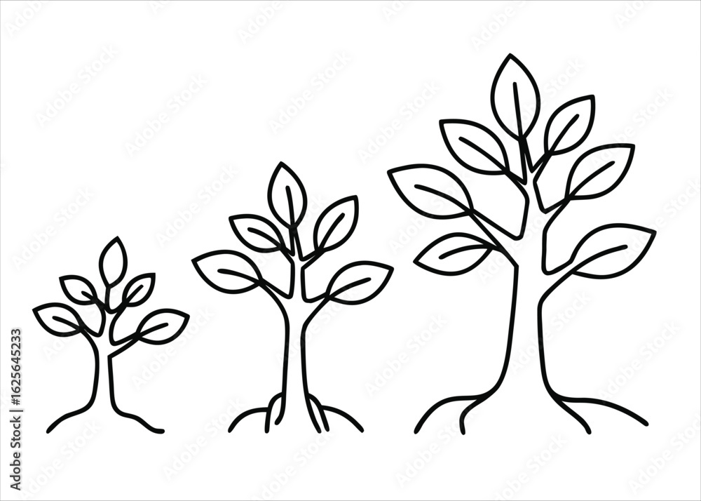 Poster organic progression of a young sapling documented through a single continuous line artistry showing 