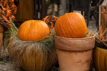 Exterior Beautiful atmospheric halloween pumpkins decorated on porch. Autumn leaves and fall...