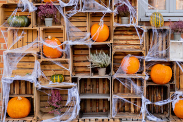 Group of orange pumpkins in wooden boxes in autumn outside. Thanksgiving or Halloween holiday autumn decoration. House entrance in festive seasonal decor. Fall atmosphere aesthetic