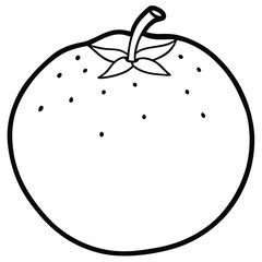 vector illustration of an orange 