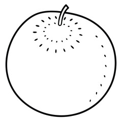 kiwi on a white background vector