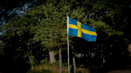 swedish flag; flag in front of a forest
