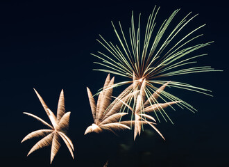 Golden and green fireworks burst in the dark night sky, creating a dazzling festive display. Perfect for New Year&rsquo;s Eve, Independence Day, parties, or holiday celebrations with vibrant pyrotechnics.