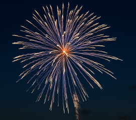 Bright fireworks burst in the night sky, radiating colorful light and energy. Perfect for celebrating holidays, festivals, and parties with vibrant pyrotechnic displays.