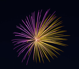 Vivid yellow and purple fireworks radiating outward against the dark night sky, capturing the energy and brilliance of a festive celebration in a single dazzling burst.