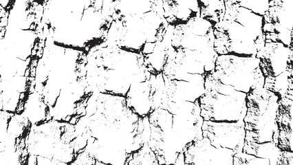 Monochrome Organic Grunge Texture Abstract Black White Bark Surface Background
