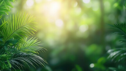 Green foliage sunlight nature background