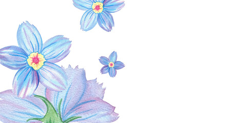 Horizontal frame, space for text, square background, rectangular template of forget-me-not flower, dew, Myosotis, copy space, botany, floral illustration. Hand drawn watercolor single isolated object