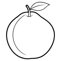 vector illustration of an apple