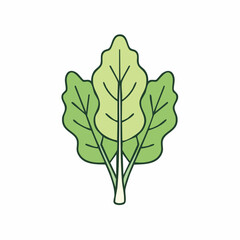 Minimalist Illustration of Fresh Green Spinach Leaves on White Background with Outline