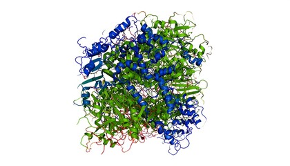 Complex protein structure (3)