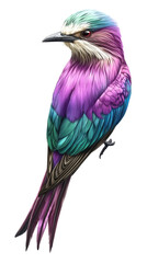 Stylized bird with teal and purple plumage
