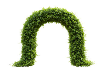 Green archway covered in lush moss isolated on transparent background