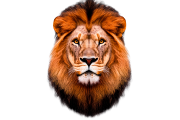 Majestic lion head with detailed fur and striking eyes