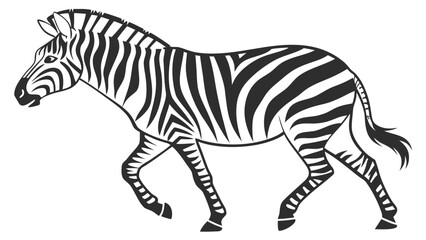 Obraz premium Illustration of a zebra in motion with black and white stripes on its body and legs standing out