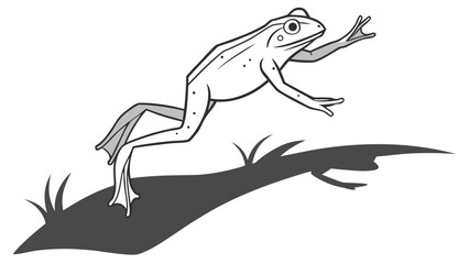 Fototapeta premium Illustration of a frog jumping over grass with a shadow cast on the ground in black and white style