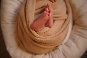 Newborn baby feet wrapped in soft brown knit blanket. Cozy infant moment in neutral tones.