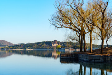 Distant View of the Tower of Buddhist Incense in Summer Palace, Beijing, China