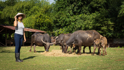 Woman interacts with water buffalo in lush field