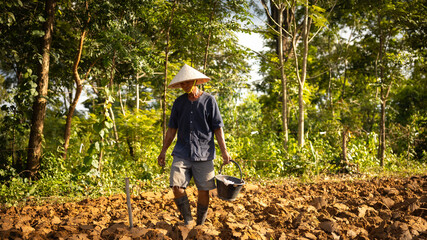 Farmer working on a rural field in sunny weather