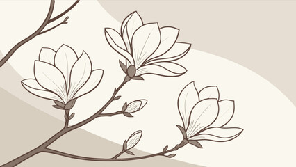 Magnolia flower drawing floral botanical illustration spring blossom branch art design aesthetic image vector