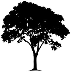 Silhouette of jackfruit tree element