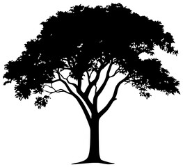 Fototapeta premium Silhouette of jackfruit tree element
