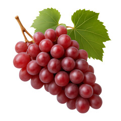 Fototapeta premium Red grape bunch with green leaves on black background fresh fruit healthy food