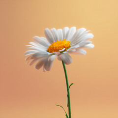 Naklejka premium Daisy Bloom Macro Nature Flora Floral Garden Yellow Petal Green Stem Vibrant Fresh Beauty Spring Growth Bright Organism Summer Colorful Blossom Meadow Landscape Decoration Tranquility Simplicity