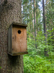 Wooden birdhouse mounted on tree trunk in lush green forest, surrounded by tall trees and vibrant foliage, providing a natural habitat for birds and wildlife enthusiasts