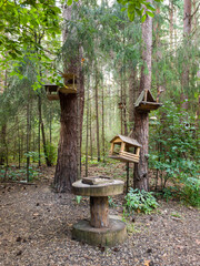 Wooden birdhouses attached to trees in a serene forest setting, surrounded by lush greenery and a...