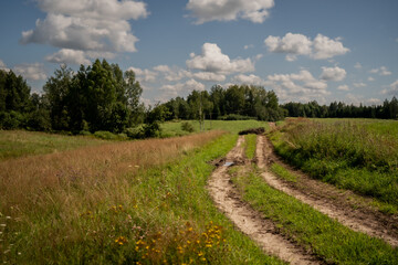 Country dirt road winding through wildflower meadow and forest edge under blue sky with clouds used for agricultural and rural access transportation during summer