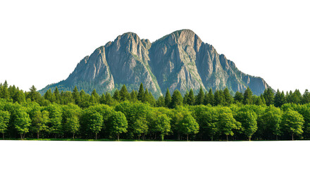 Fototapeta premium Majestic Mountain Lush Forest Landscape