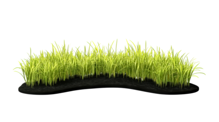 Lush green grass patch on a transparent background for design use