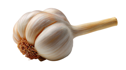 Garlic Close-up: An isolated close-up captures the intricate texture and form of a fresh garlic bulb, a symbol of health and culinary delight.