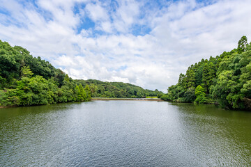 平和台公園の新池