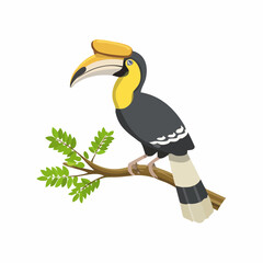 Fototapeta premium Colorful hornbill bird perched on branch tropical forest digital nature side view wildlife conservation