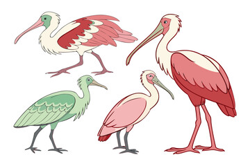 set of watercolor Heron vector illustration isolated on white background