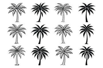 Vibrant set of tropical coconut palm trees with lush green leaves and brown trunks perfect for summer and beach designs