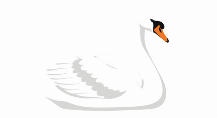 Obraz premium Elegant Swan Illustration on Plain Background Showcasing Graceful Waterbird and Clean Aesthetic Design