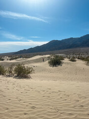 Family exploring Mesquite Flat Sand Dunes in Death Valley, USA, clear blue sky overhead.