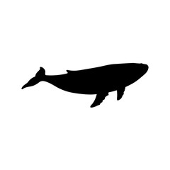 Obraz premium Humpback whale silhouette vector flat illustration on white background.
