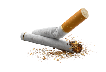 Broken cigarette on tobacco debris