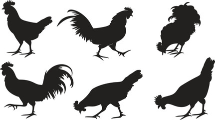Cock Silhouette in white background vector design, Cock logo and icon design, Cock vector design