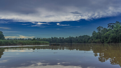 Fototapeta premium Early morning on a tropical river in the jungle. Thickets of rainforest trees on the banks. The tourist boat is far away. Blue sky, clouds. Reflection on the smooth shiny surface of the water.Malaysia