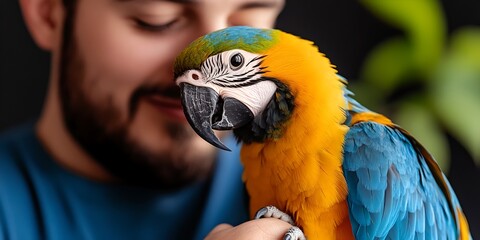A person gently holding a vibrant blue and yellow aw parrot with the bird s feathers and beak visible in close up showcasing the close bond between human and animal