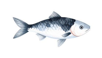 Fototapeta premium 魚のイラスト