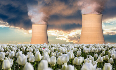 Global warming concept - Chimneys of thermal power plant on Tulip field