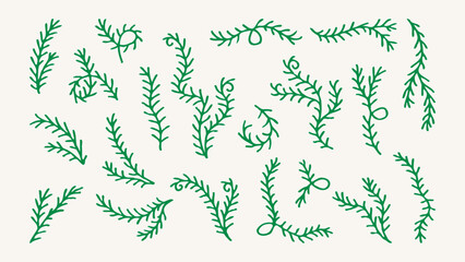 Coniferous Tree Branch Set. Hand drawn curly twigs and sprigs for Christmas decor. Sketch botanical elements. Holiday plants. Vector illustration