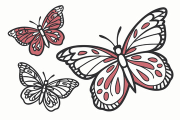 Obraz premium set of butterflies on white backgroud